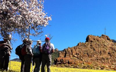 Senderismo Familiar Ruta del Almendrero Santa Lucia