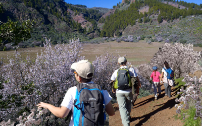 Neophamiliar Ruta del Almendrero Caldera de los Marteles