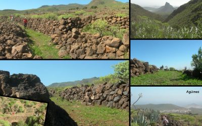 Senderismo Básico. Ruta de los Caracoles.