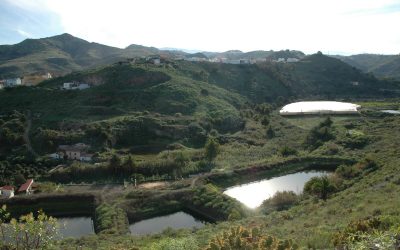 Jubilosos Tamaraceite-S. Lorenzo. S. José del Alamo