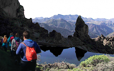 Neophamiliar Brranco del Nublo