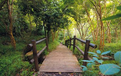 Familyphron Ruta del Monte Verde