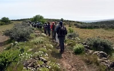 Senderismo Básico. RAMPAS DE AGÜIMES. De la Caldera de los Marteles a Temisas. Sábado 12 de MAYO de 2018.