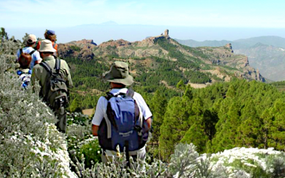Senderismo Básico Pico de las Nieves Cueva Grande