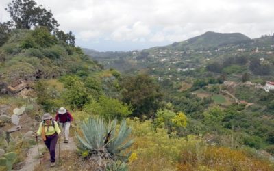 Senderismo Básico RUTA de la CIRUELA