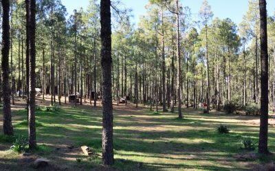 Familyphron Acampada en la Cumbre