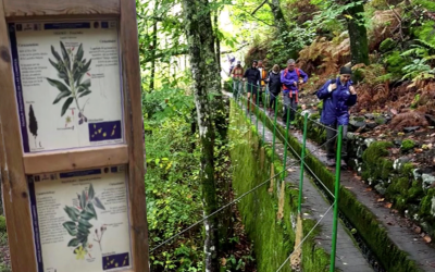 Familyphron RUTA DE LA CASTAÑA