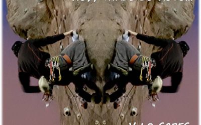 Tardes de Roco invernales 2019.