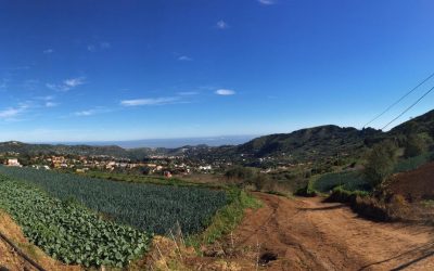 Familyphron San Mateo Madroñal