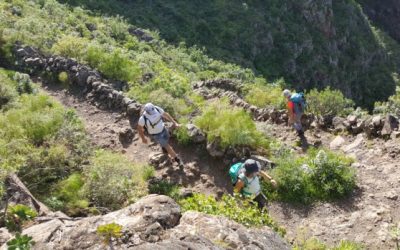 Senderismo Básico. Ruta de Temisas a Guayadeque.