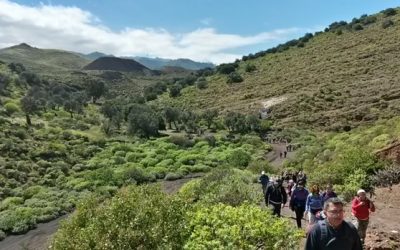 Senderismo Básico. Ruta de los volcanes.