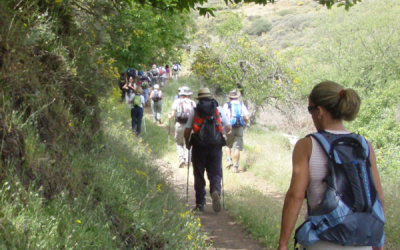 Senderismo Básico RUTA DEL BARRANCO DE LA MINA