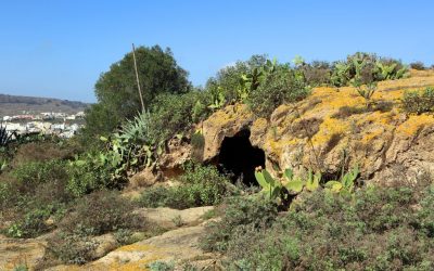 Familyphron Ruta Altos de San Gregorio