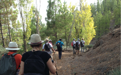 Senderismo Básico RUTA DE LA CIRUELA