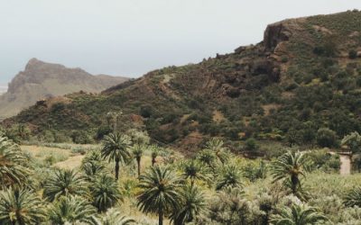 Senderismo Avanzado. Santa Lucia – Aguimes