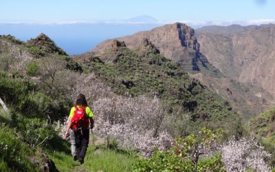 Montañismo. Caldera de Tejeda.