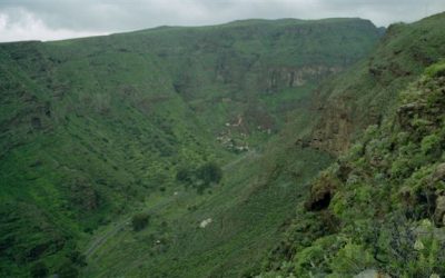 Senderismo Avanzado. Ruta circular de Guayadeque. Sábado 15 de febrero 2020.