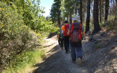 Senderismo Básico. Ruta de invierno. Caminos de la Cumbre.