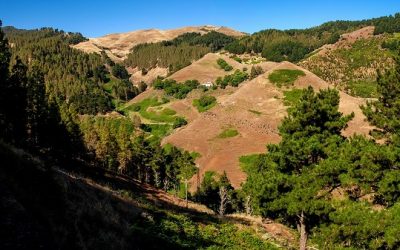 Jubilosos. Fontanales-Pavon-Montaña Alta