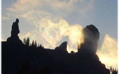 COMUNICADO PARA LA FAMILIA NEOPHRON Y SIMPATIZANTES.