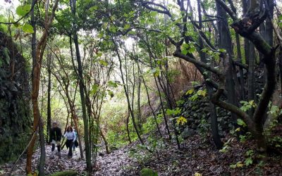Senderismo Básico. Ruta otoñal. Circular los chorros.