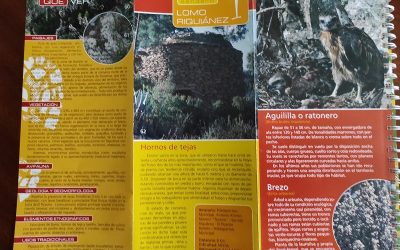 Jubilosos Lomo Riquianez