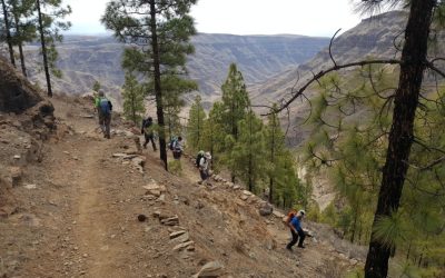 II Camino de Santiago Canario – Tunte a Galdar