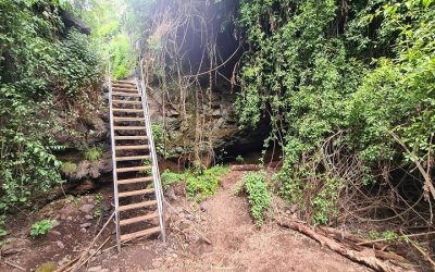 Familyphron Barrancos de Teror