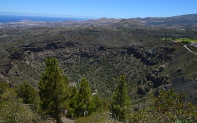 Jubilosos Circular Caldera de Bandama