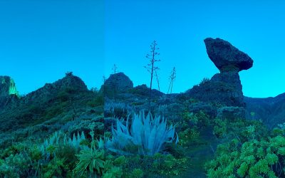 Familyphron Ruta del Tajinaste