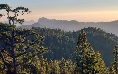 Jubilosos Camino de Santiago 2ª Etapa
