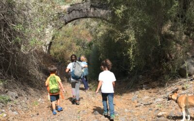 Familyphron Bco. Las Breñas – Los Cernicalos