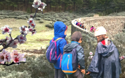 Familyphron Ruta del Almendrero