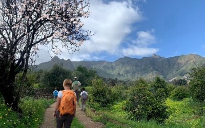 Familyphron Ruta del Almendrero II
