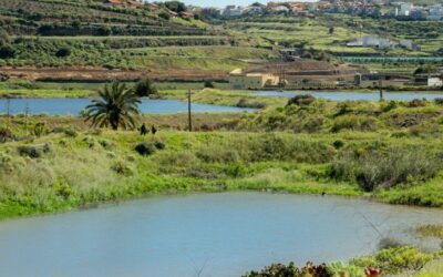 Senderismo Jubiloso de Lo blanco a San lorenzo