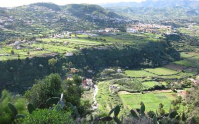 Senderismo Jubiloso. Sta. Brígida Las Palmas de GC