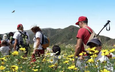 Familyphron RUTA PRIMAVERA EN EL GUINIGUADA
