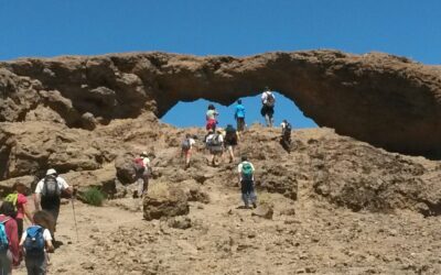 Familyphron Ventana del Nublo