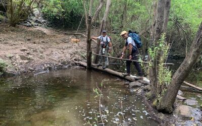 Familyphron Circular de Azuaje