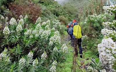 Familyphron Ruta de la Retama Blanca
