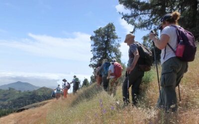 Senderismo Basico Degollada de las palomas-Pavon