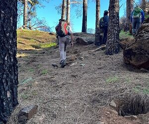 Familyphron Circular Caldera de los Marteles