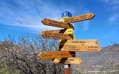 Ruta del Almendrero I 2025