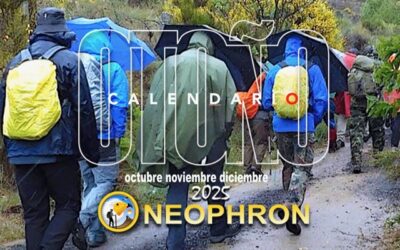 Calendario de Otoño 2025