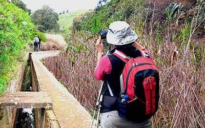 Senderismo Basico Ruta Fin de Año