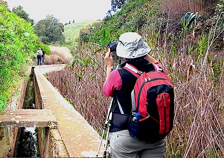 Senderismo Basico Ruta Fin de Año