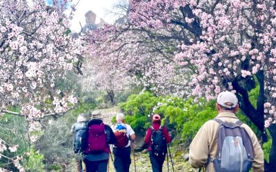 Calendario Invierno 2026