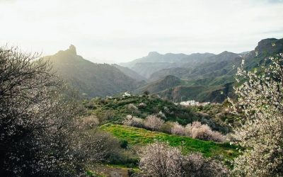 Senderismo Basico Ruta del Almendrero en Flor