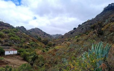 Senderismo Jubilosos Lo Blanco – San Lorenzo