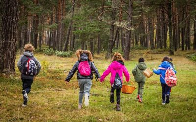 Familyphron Ruta de las Setas 2026